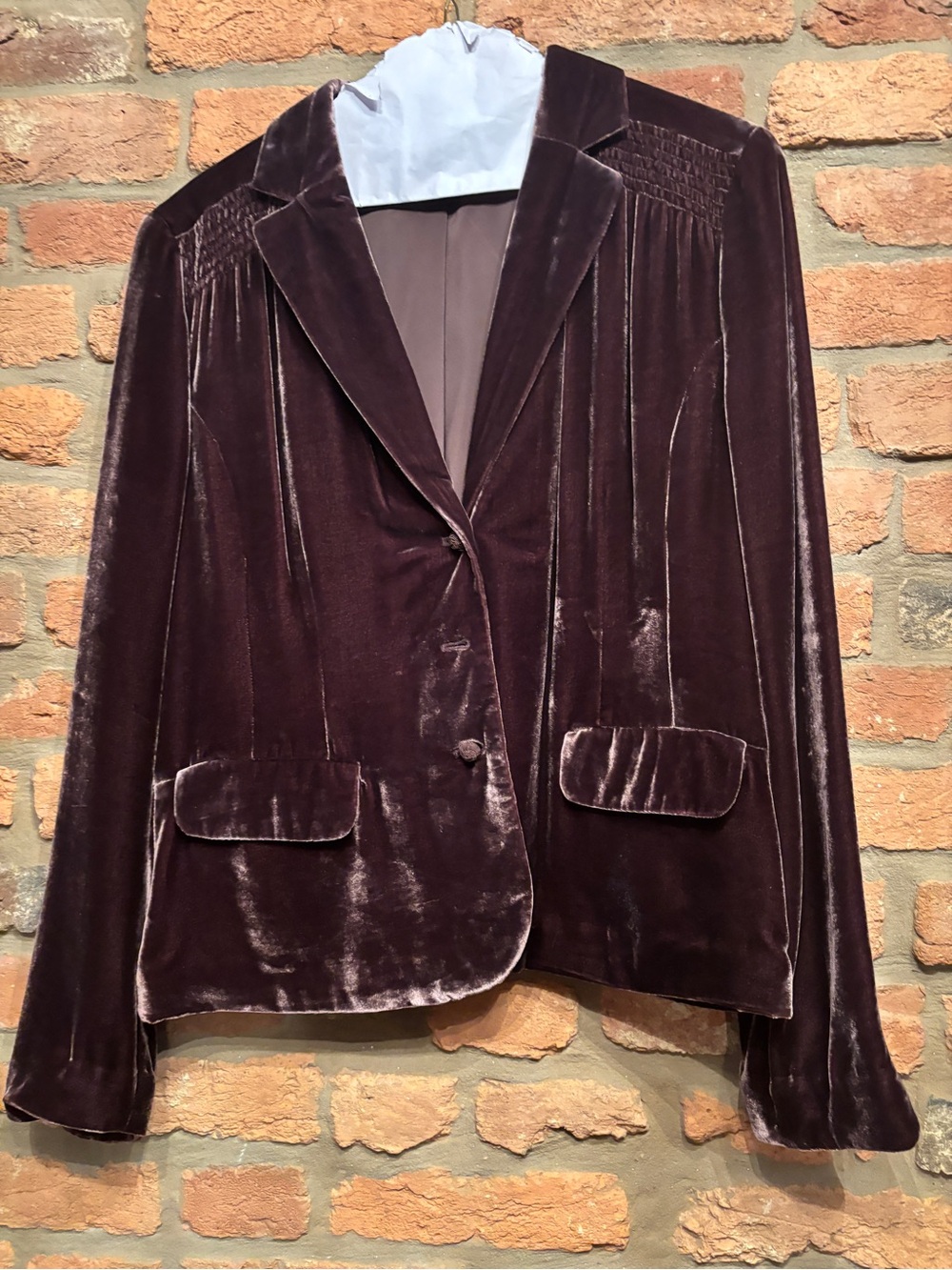 Liz Claiborne Velvet Blazer in Plum
